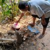โครงการถังขยะเปียกลดโลกร้อน